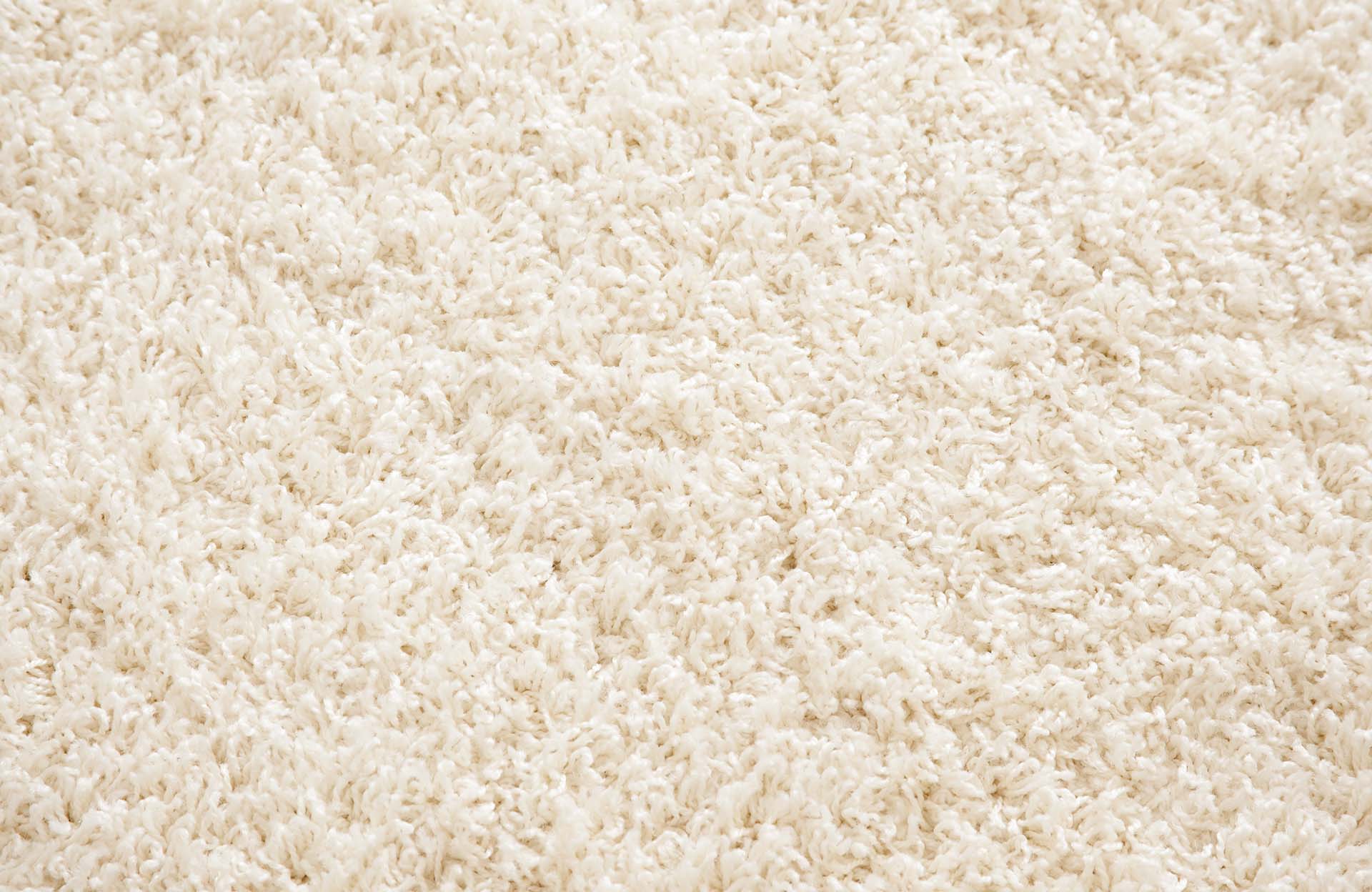 Cut Pile Carpeting